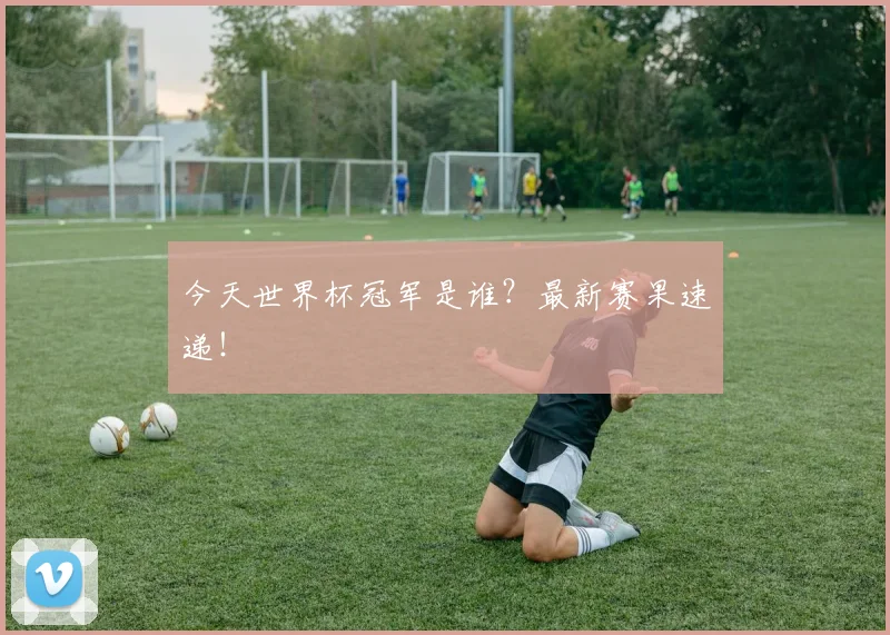今天世界杯冠军是谁?最新赛果速递!