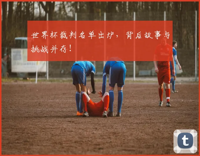 世界杯裁判名单出炉,背后故事与挑战并存!